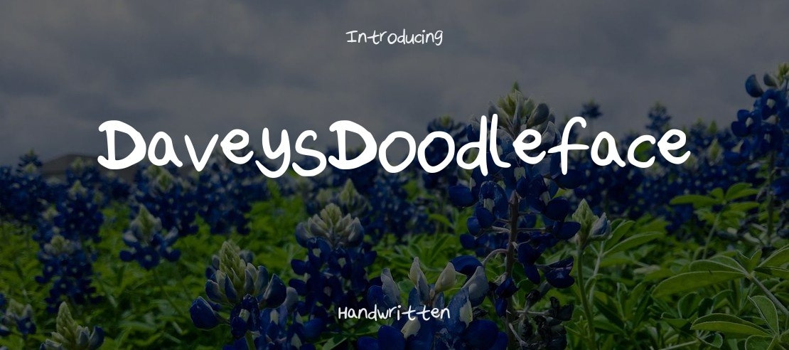 DaveysDoodleface Font