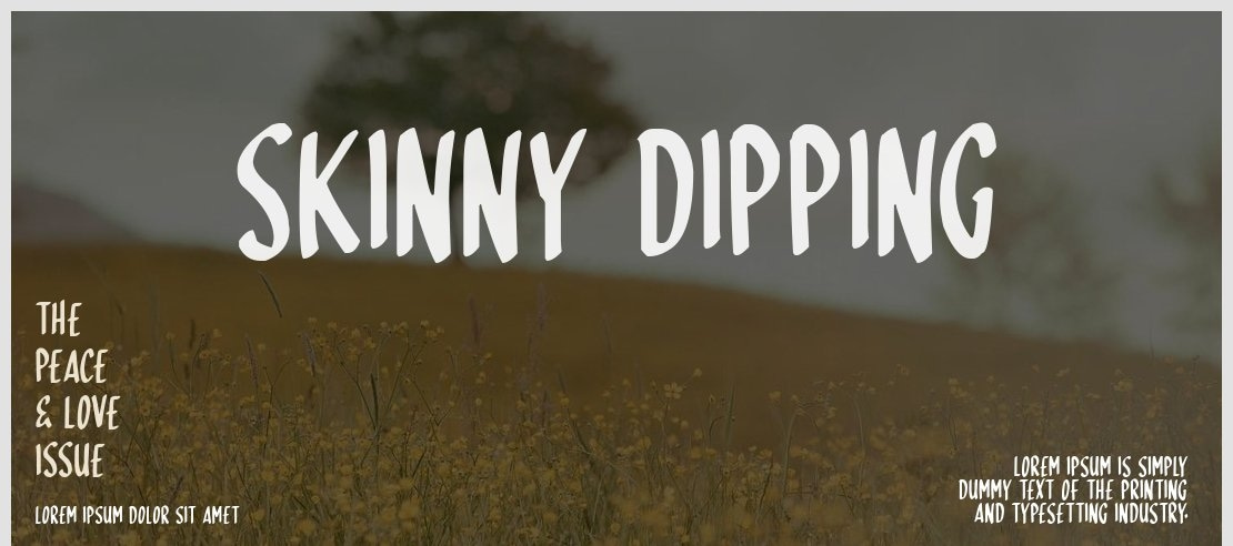 Skinny Dipping Font