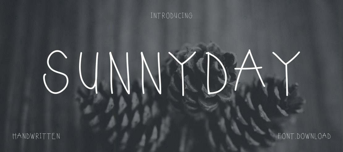 sunnyday Font