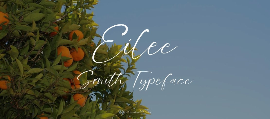 Eilee Smith Font