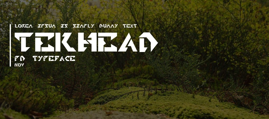 Tekhead PD Font