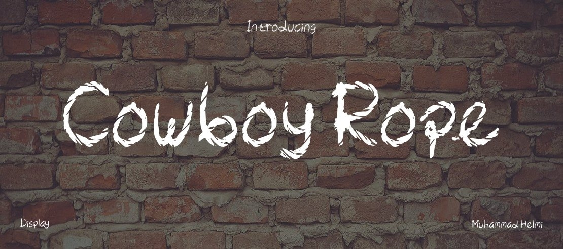 Cowboy Rope Font