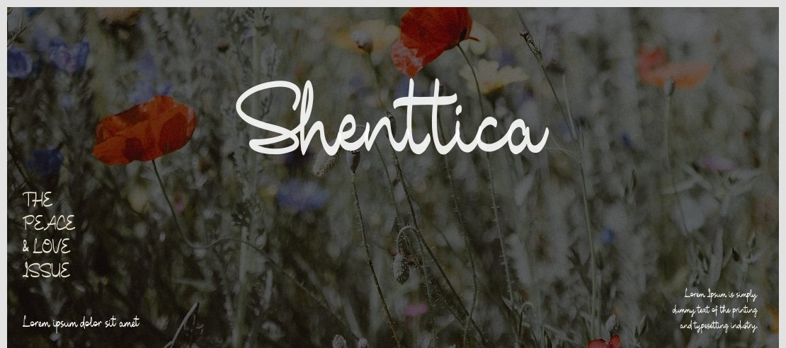 Shenttica Font