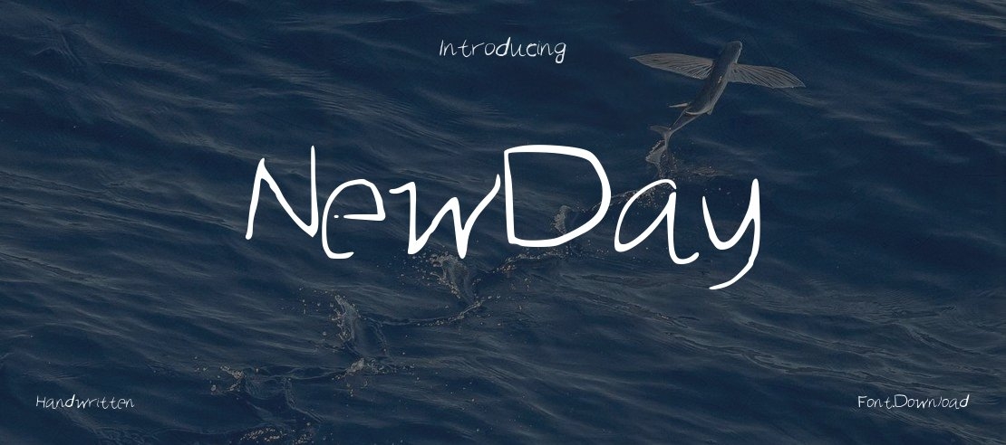 NewDay Font