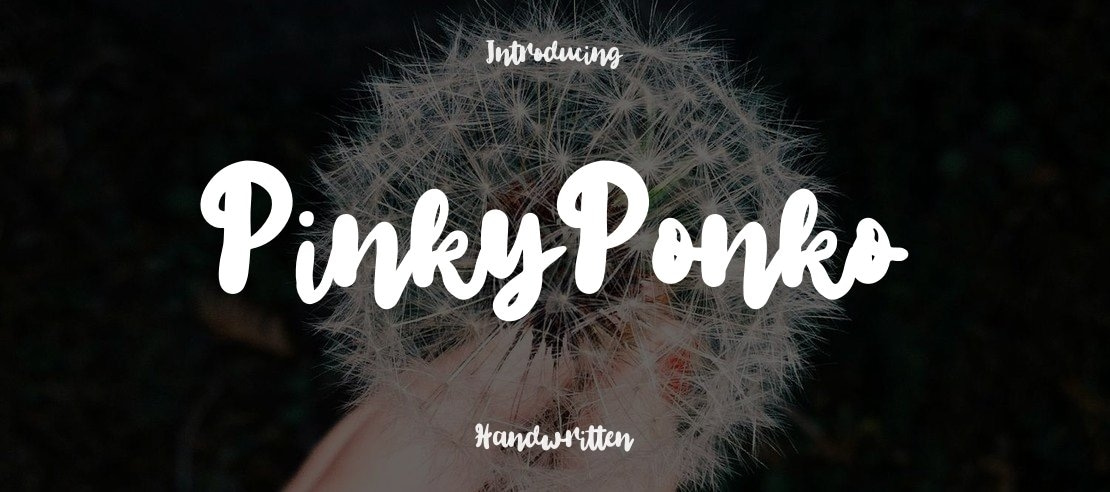 PinkyPonko Font