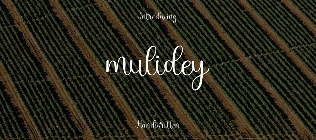 mulidey Font