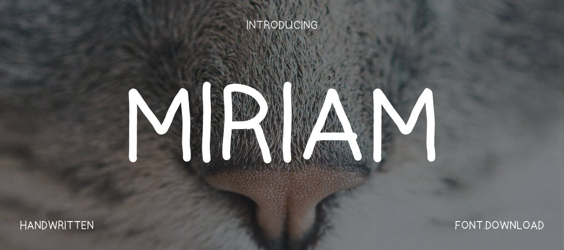 miriam Font