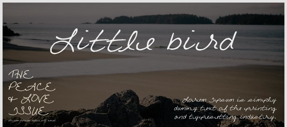 Little bird Font