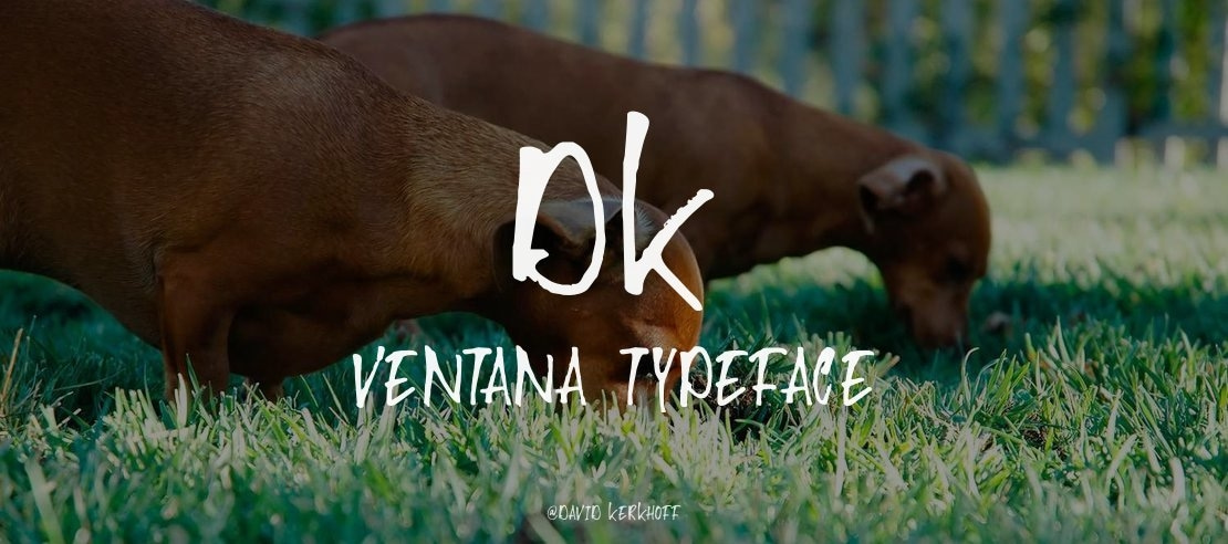 DK Ventana Font