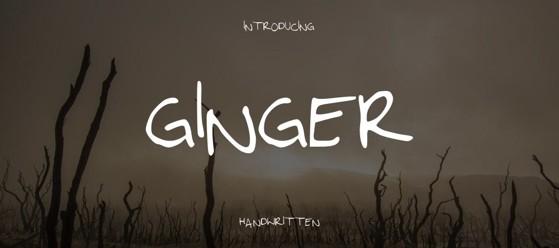 Ginger Font