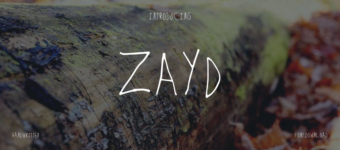 Zayd Font