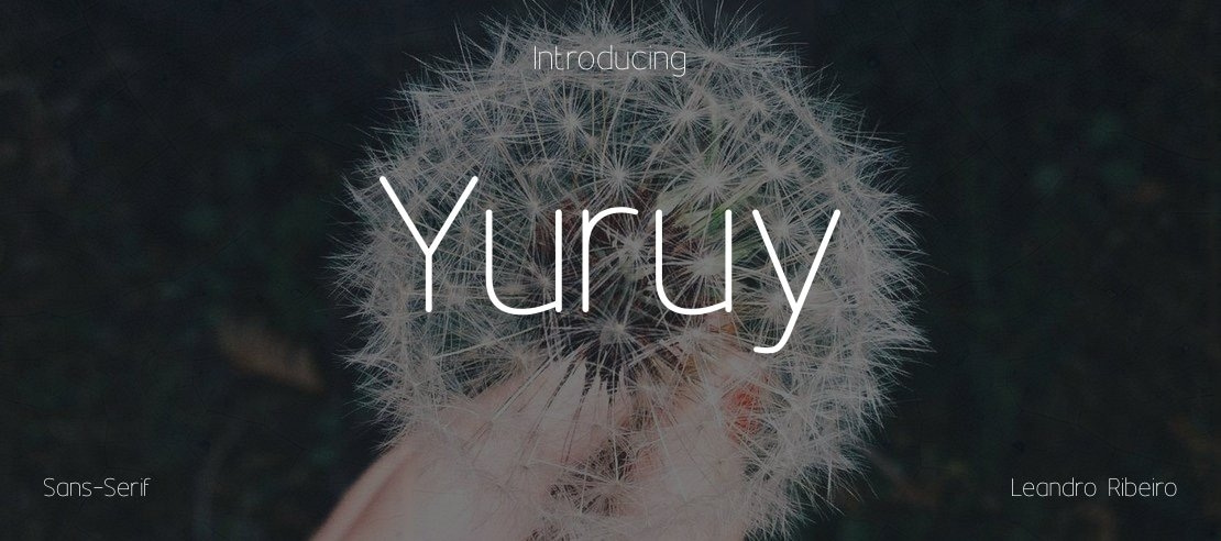 Yuruy Font