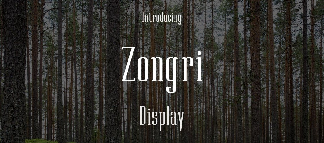 Zongri Font