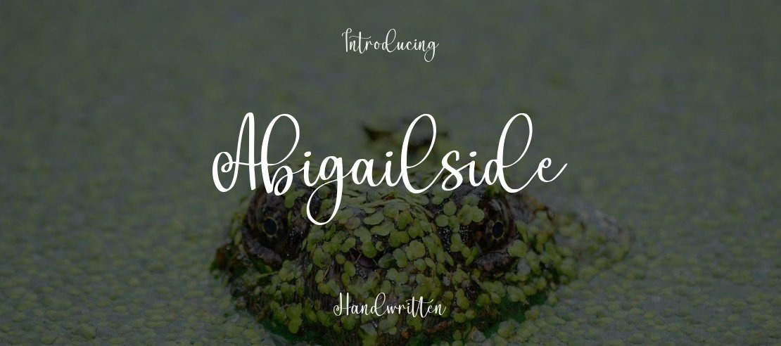 Abigailside Font