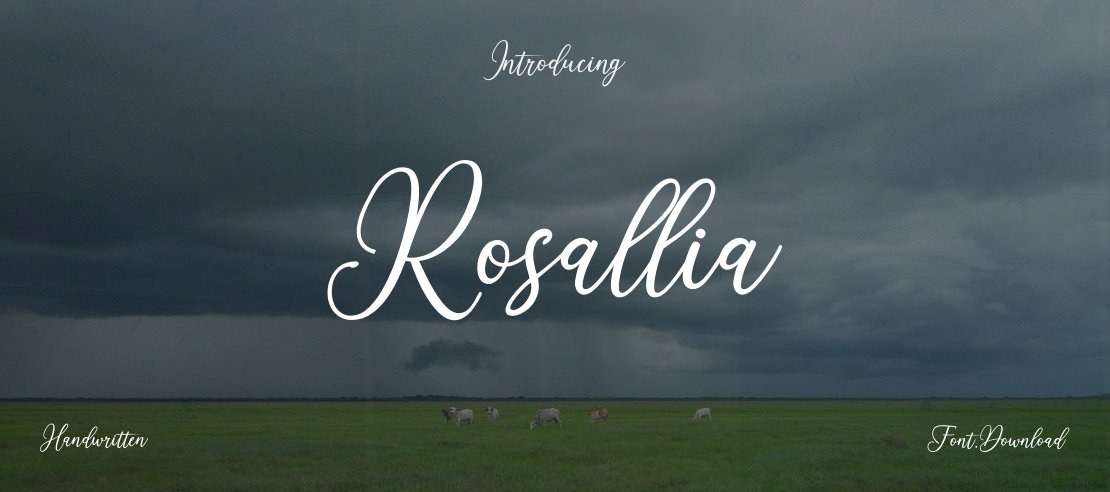 Rosallia Font