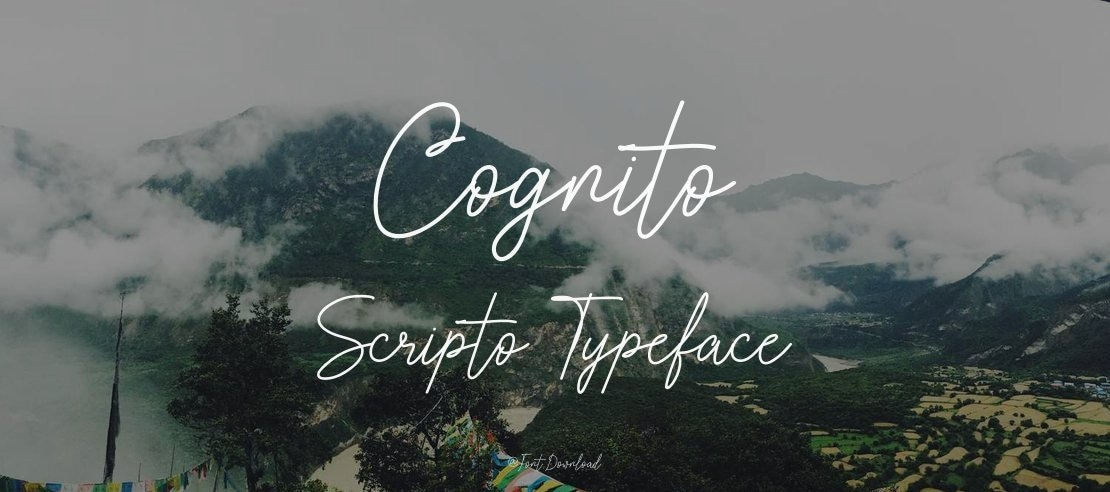 Cognito Scripto Font Family