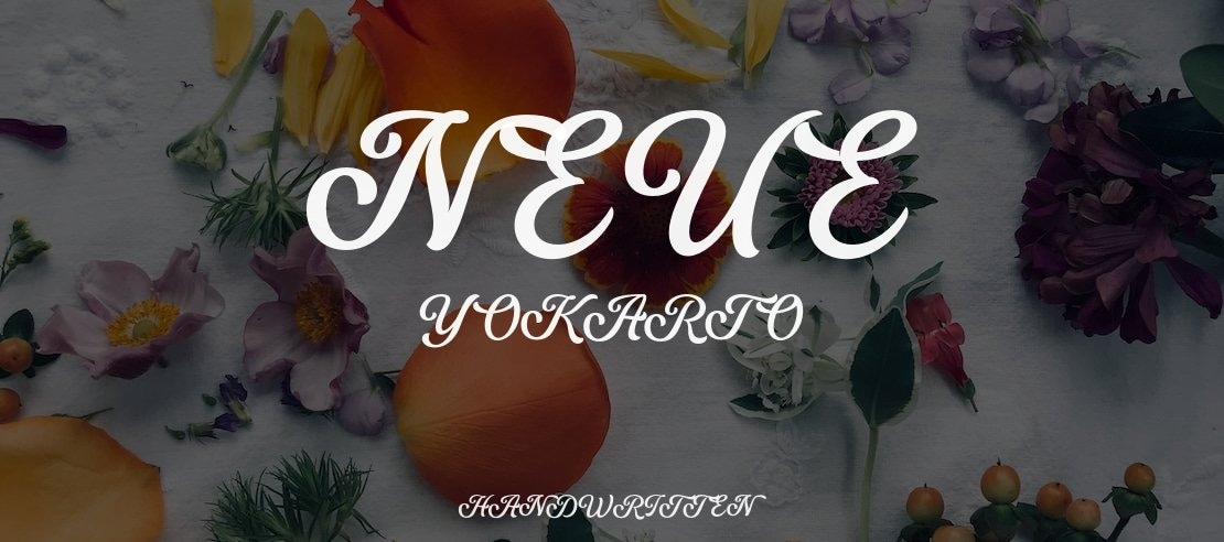 Neue Yokarto Font Family