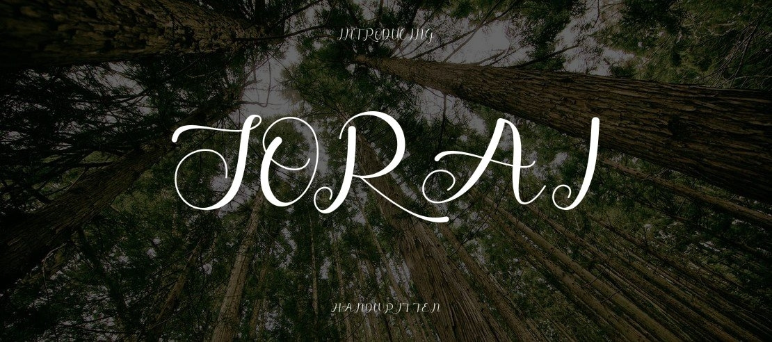 Sorai Font