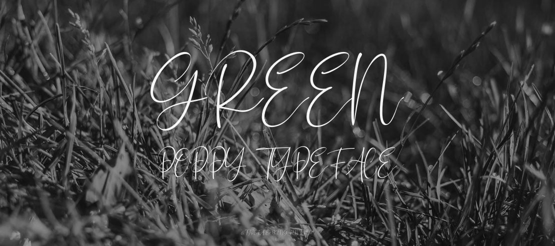 Green Poppy Font Family