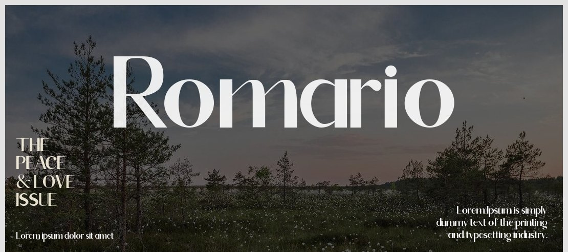 Romario Font