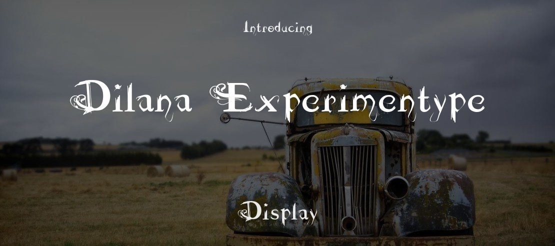 Dilana Experimentype Font