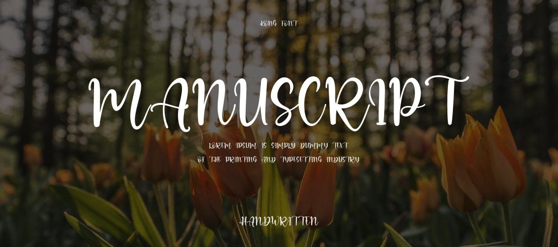 Manuscript Font