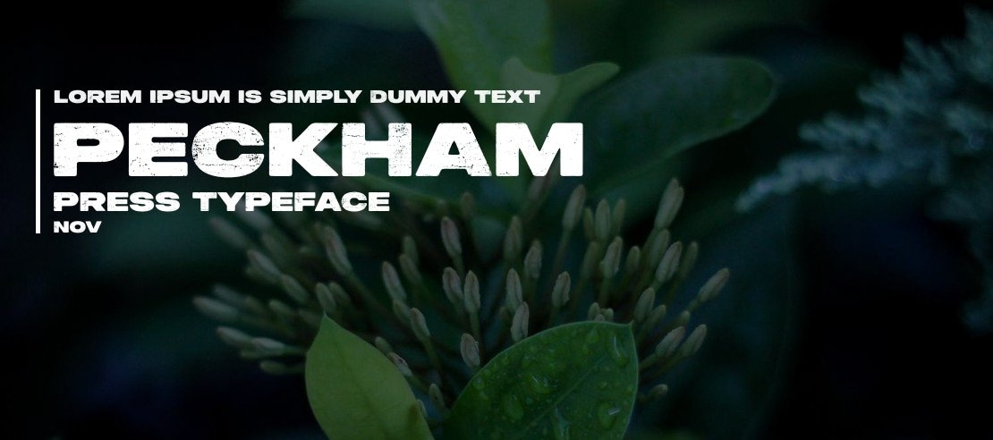 Peckham Press Font