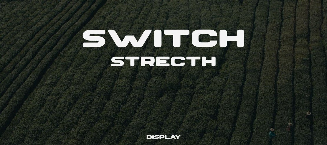 SWITCH STRECTH Font