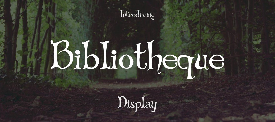 Bibliotheque Font