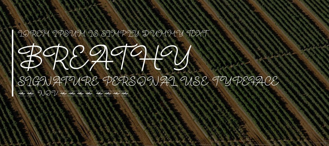 Breathy Signature Personal Use Font