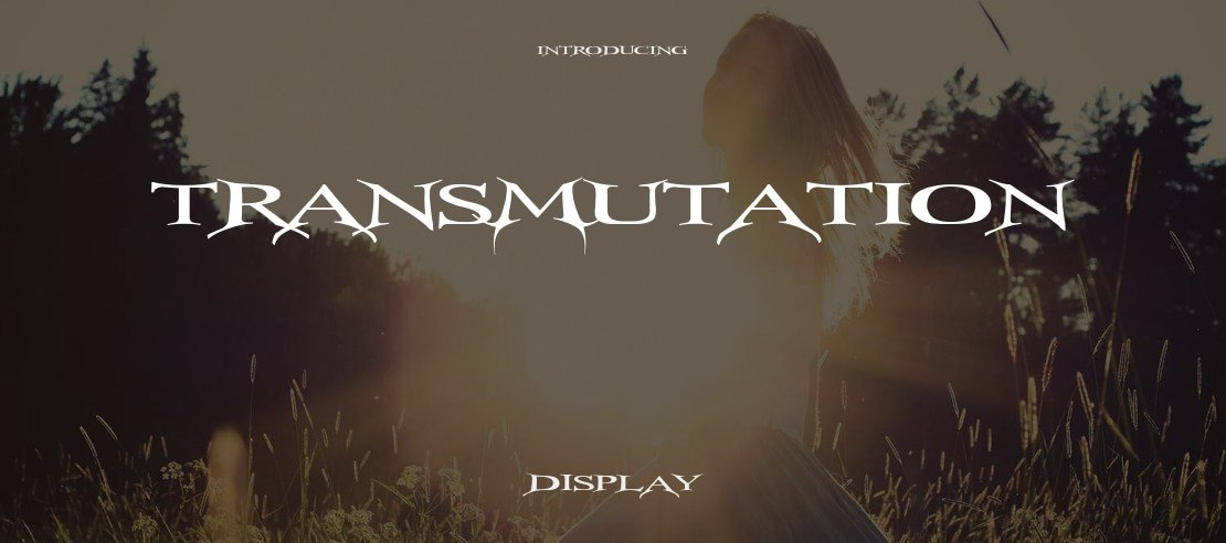 TransMutation Font