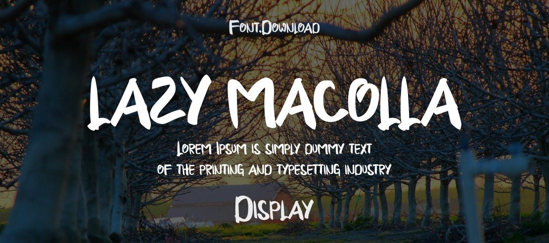 LAZY MACOLLA Font