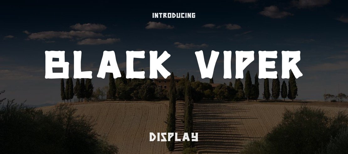 BLACK VIPER Font