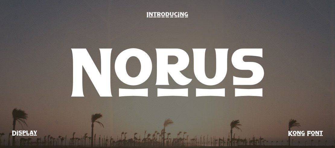 Norus Font