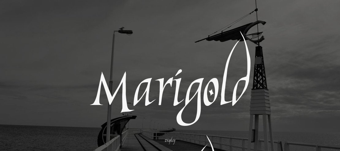 Marigold Wild Font