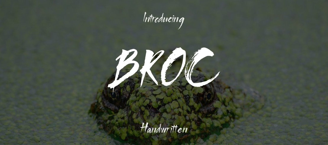 BROC Font