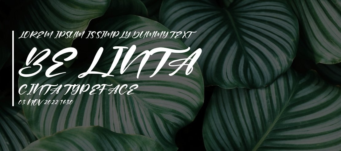 Belinta Cinta Font