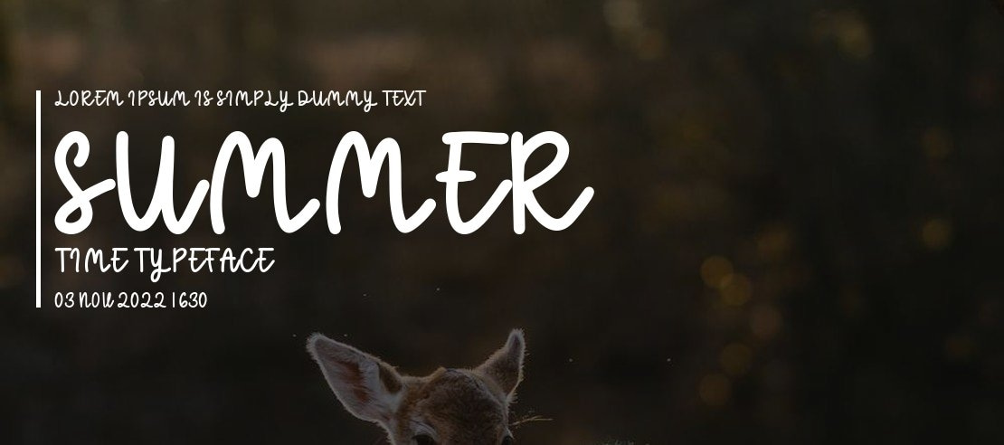 Summer Time Font