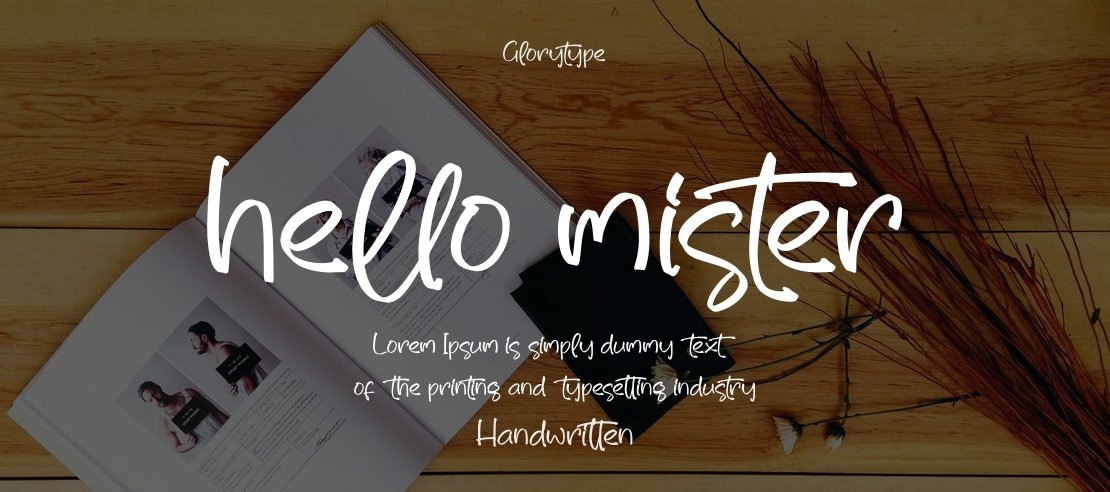 hello mister Font