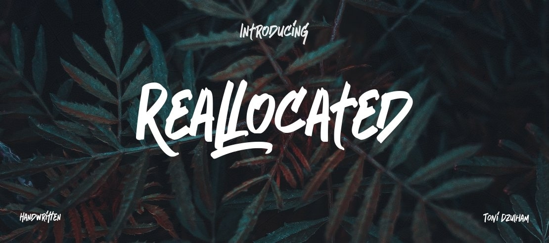 Reallocated Font