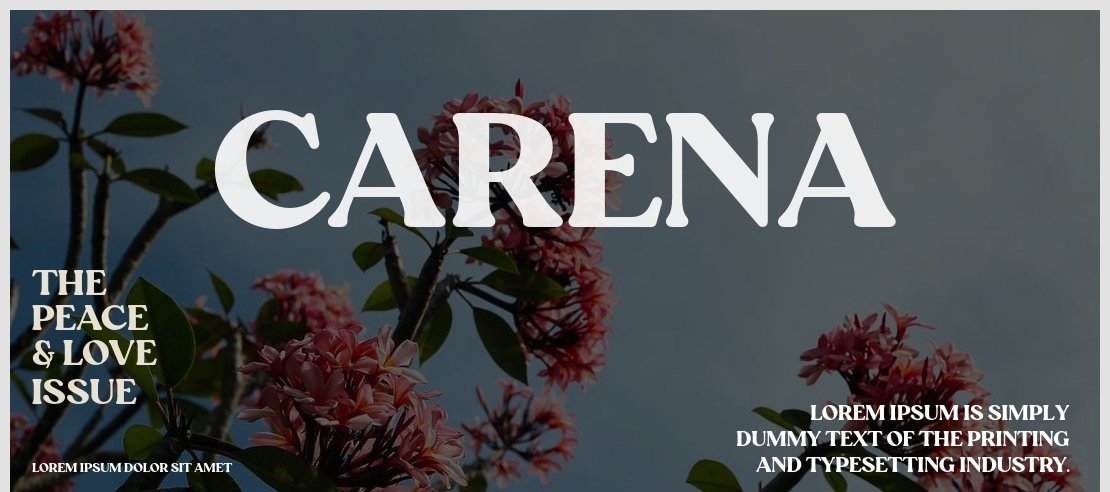 Carena Font