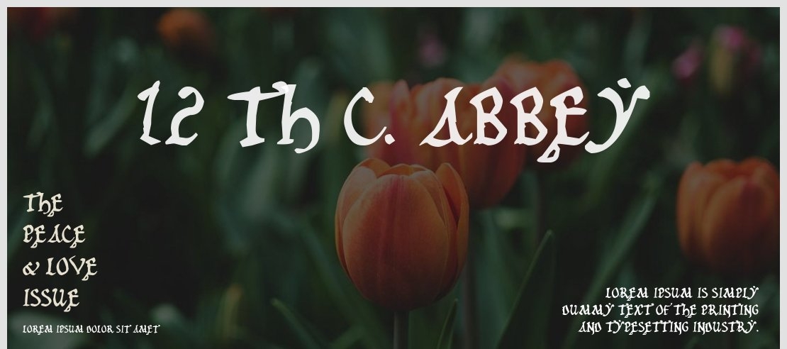 12 th c. Abbey Font