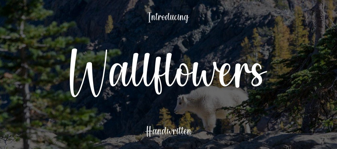 Wallflowers Font