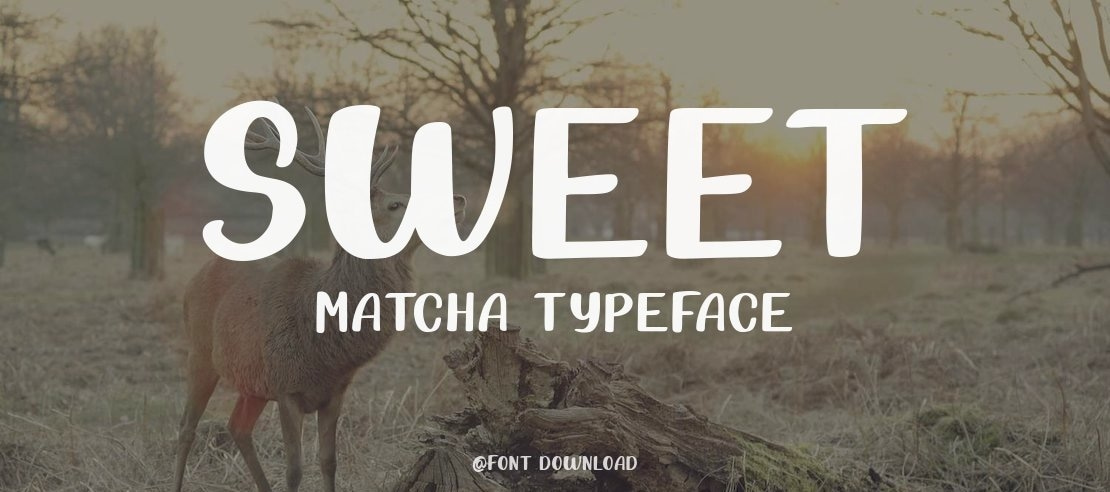 Sweet Matcha Font