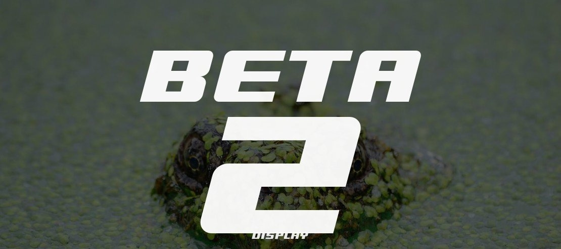 Beta 2 Font