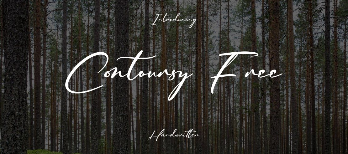 Contoursy Free Font