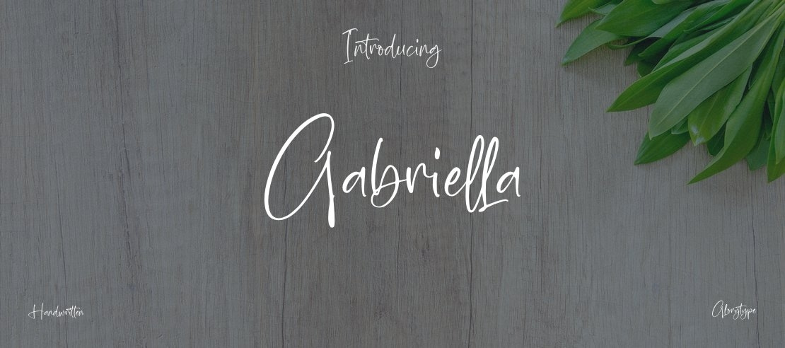 Gabriella Font