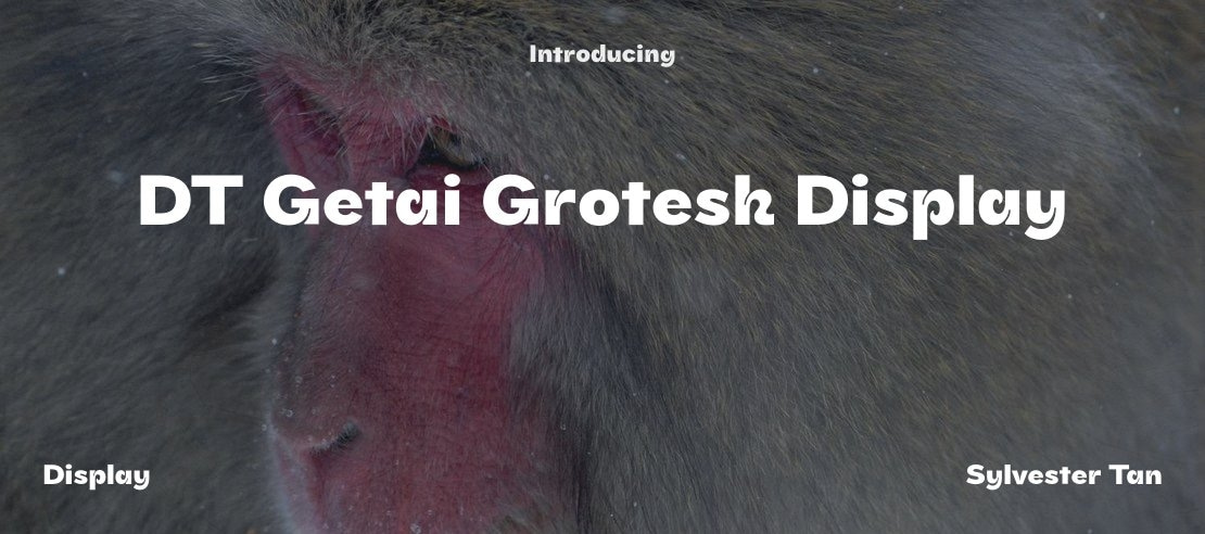 DT Getai Grotesk Display Font