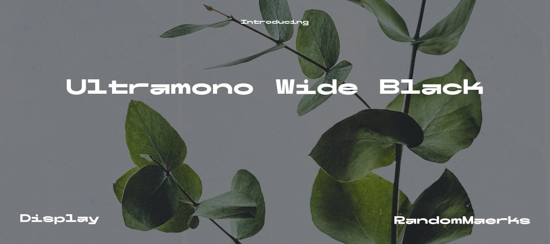 Ultramono Wide Black Font Family