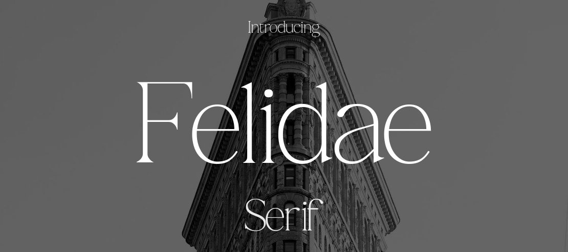 Felidae Font